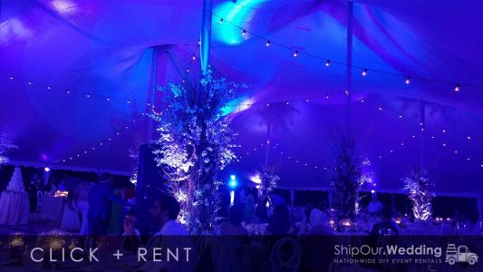blue_tent_lighting_with_string_lights