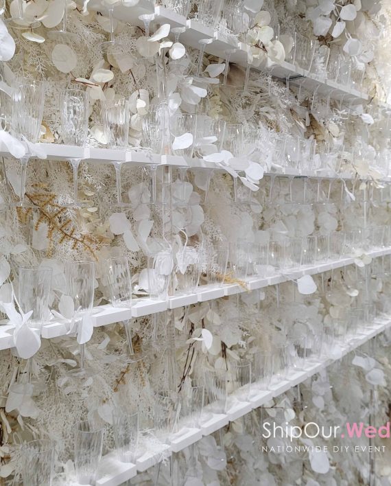 pampas_champagne_wall