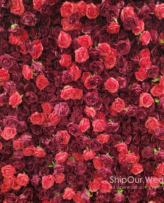 red_rose_flower_wall