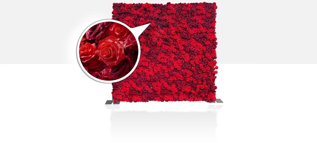 (5) Day Red Rose Backdrop Rental - DIY Flower Wall for $519
